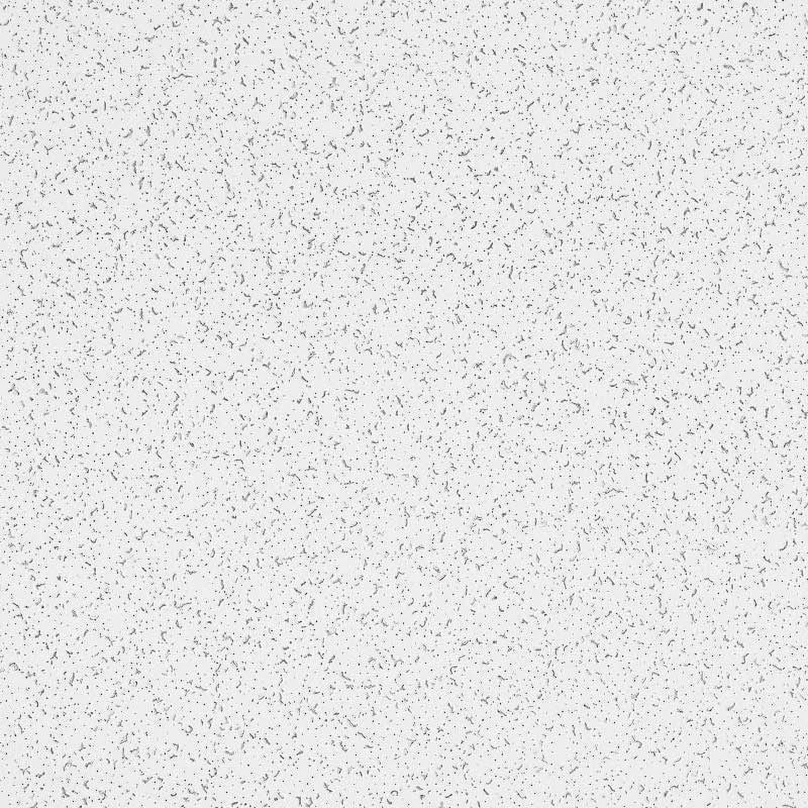 White Random Textured Acoustic Ceiling Tiles 24" x 48"