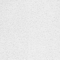 Armstrong 2x4 TEXTURED Acoustic Ceiling Tiles for Suspended Ceiling Grids, 10-tiles per pack, White