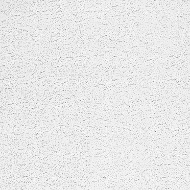 Armstrong 2x4 TEXTURED Acoustic Ceiling Tiles for Suspended Ceiling Grids, 10-tiles per pack, White
