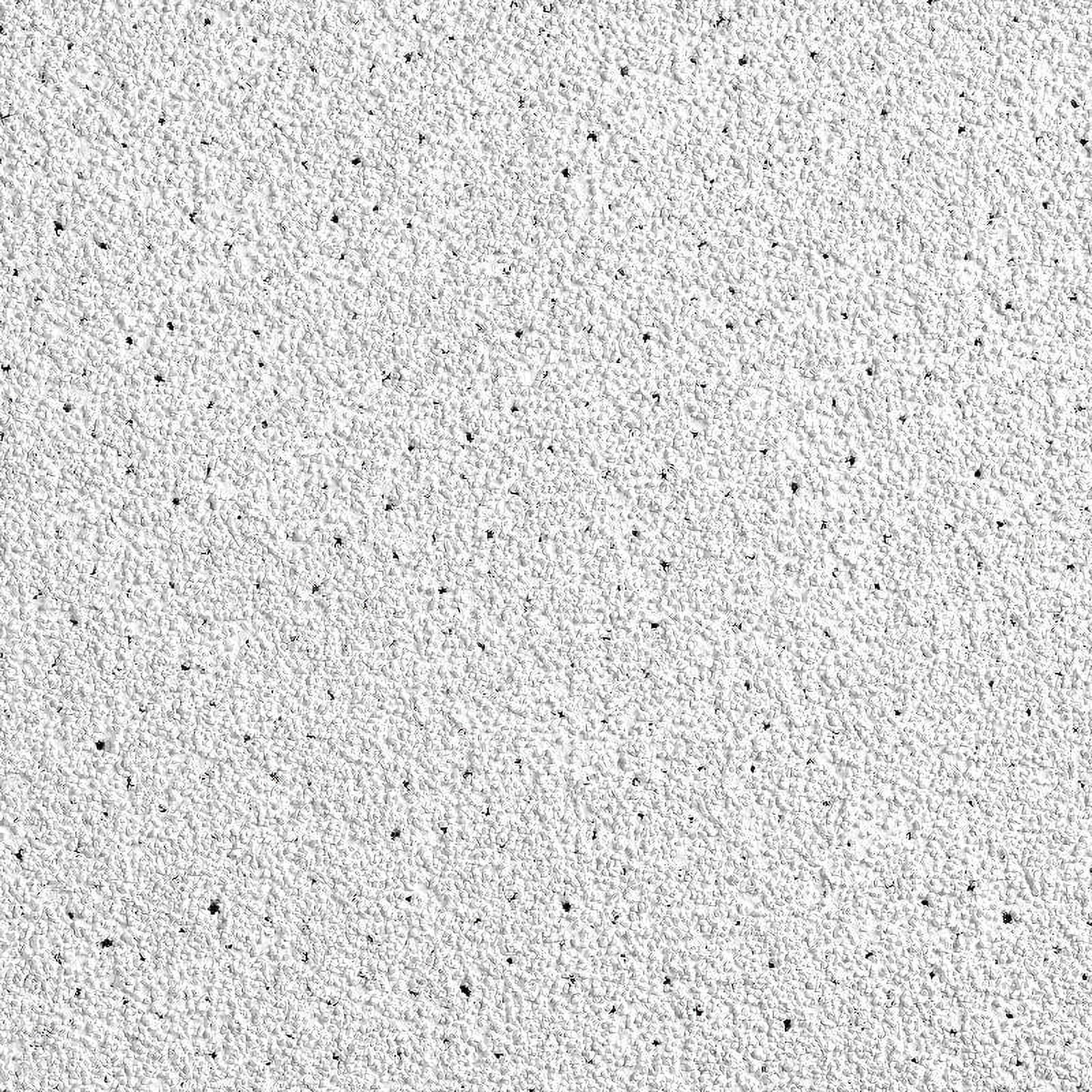 Dune White Acoustic Mineral Fiber Ceiling Tiles 24x48