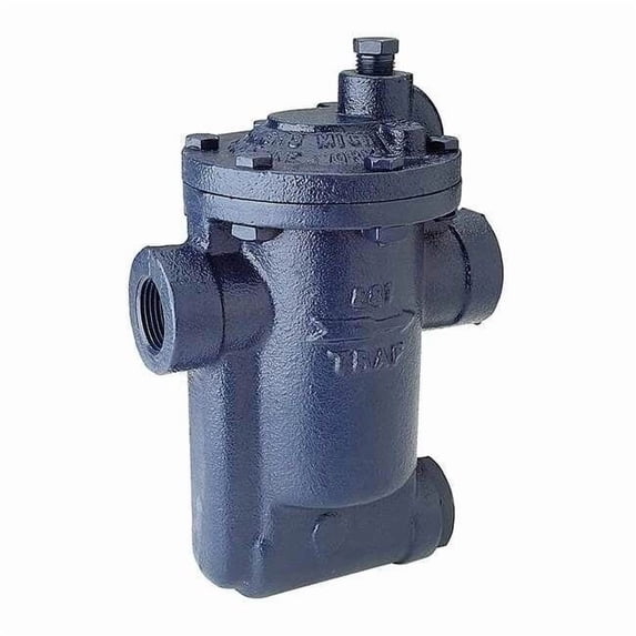 Steam Trap,250 psi,450F,5 In. L 881-075-250