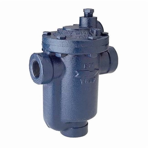 Steam Trap,80 psi,450F,5 In. L 800-050-080