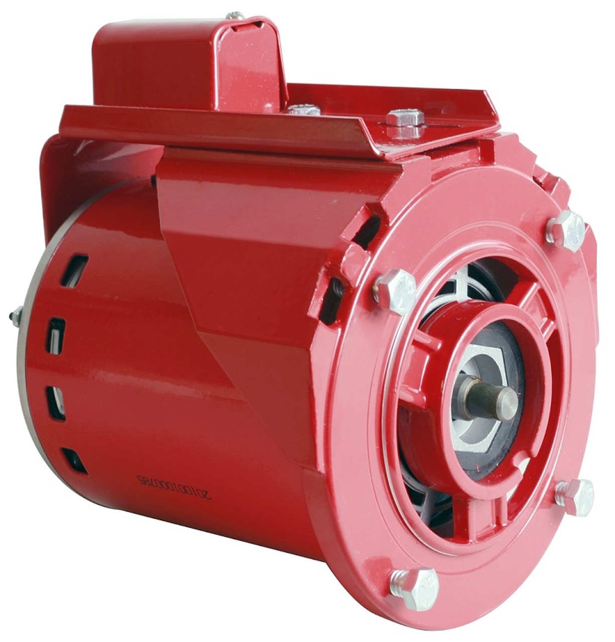 Armstrong Pumps Pump Motor, 1/3 hp, 115V AC  816141-002 - image 1 of 1