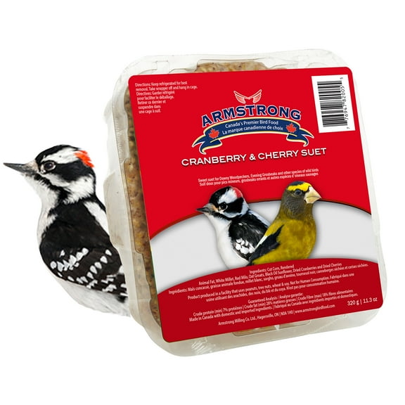 Armstrong Wild Bird Food Cranberry and Cherry Suet Blend, 11.3oz
