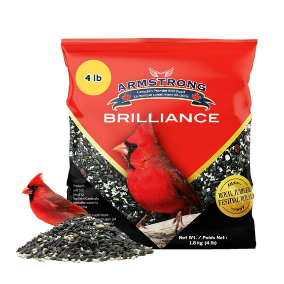 Armstrong Wild Bird Food Royal Jubilee Brilliance Blend, 4 Pounds - with Black Oil Sunflower, Safflower, Peanuts, Dried Raisins & Cherries for Northern Cardinals and Songbirds