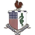 thumbnail image 1 of Army Medical Corps Regimental Distinctive Insignia, 1 of 2