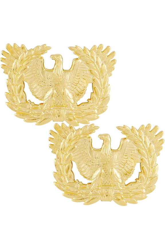 Army Warrant Officer Insignia Pair