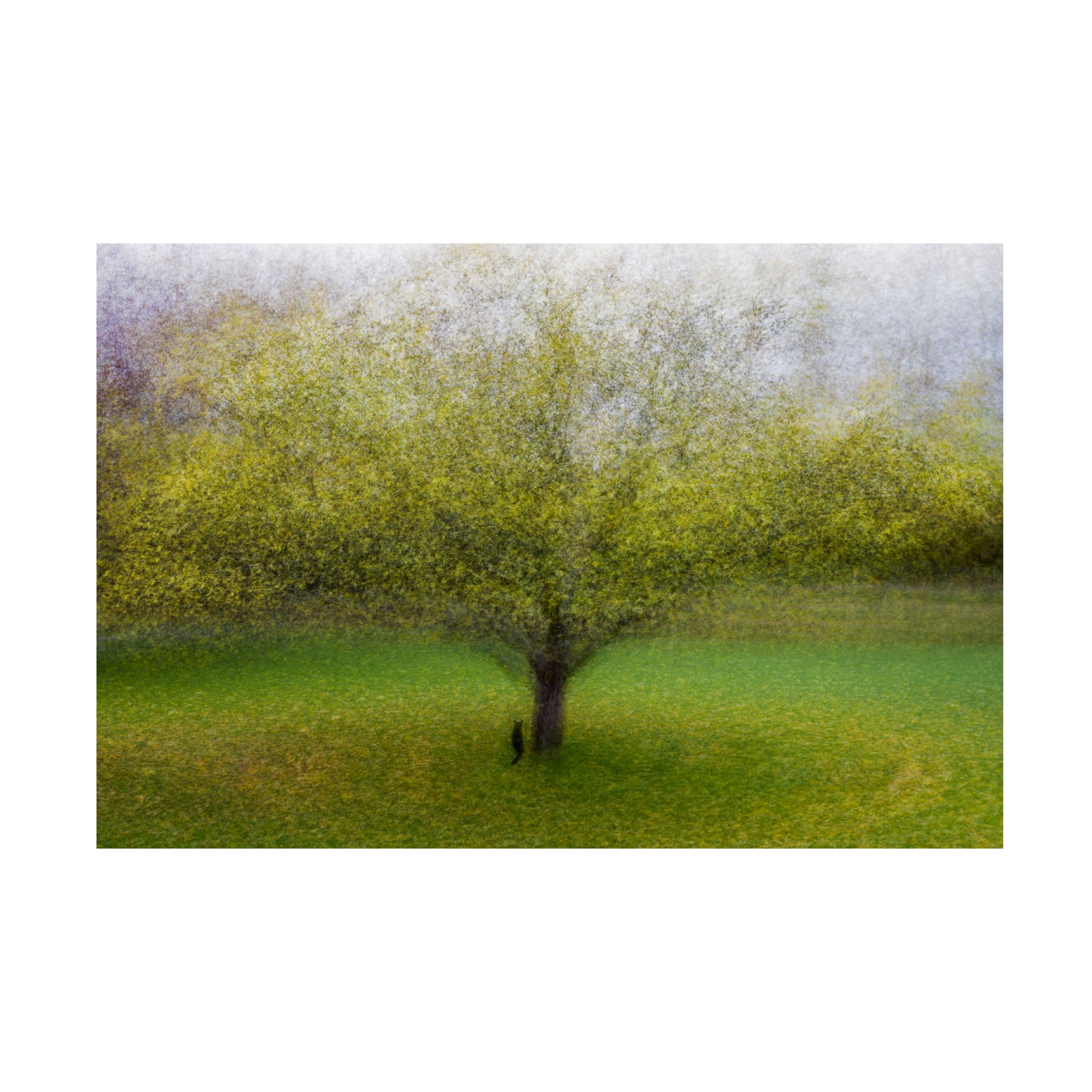 Arne Ostlund 'The Cat By The Tree' Canvas Art