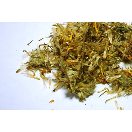 Arnica Flower Whole