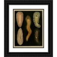 thumbnail image 1 of Arnold Lang 12x14 Black Ornate Wood Framed Double Matted Museum Art Print Titled: The Polycades of the Gulf of Naples and the Adjacent Sea Sections Pl4 (1884), 1 of 5