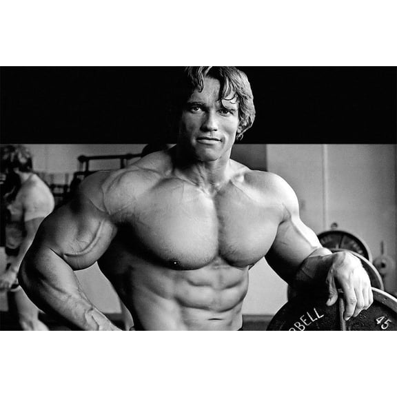 Arnold Schwarzenegger Bodybuilding Motivational Quotes Wall Art - POSTER 20"x30"