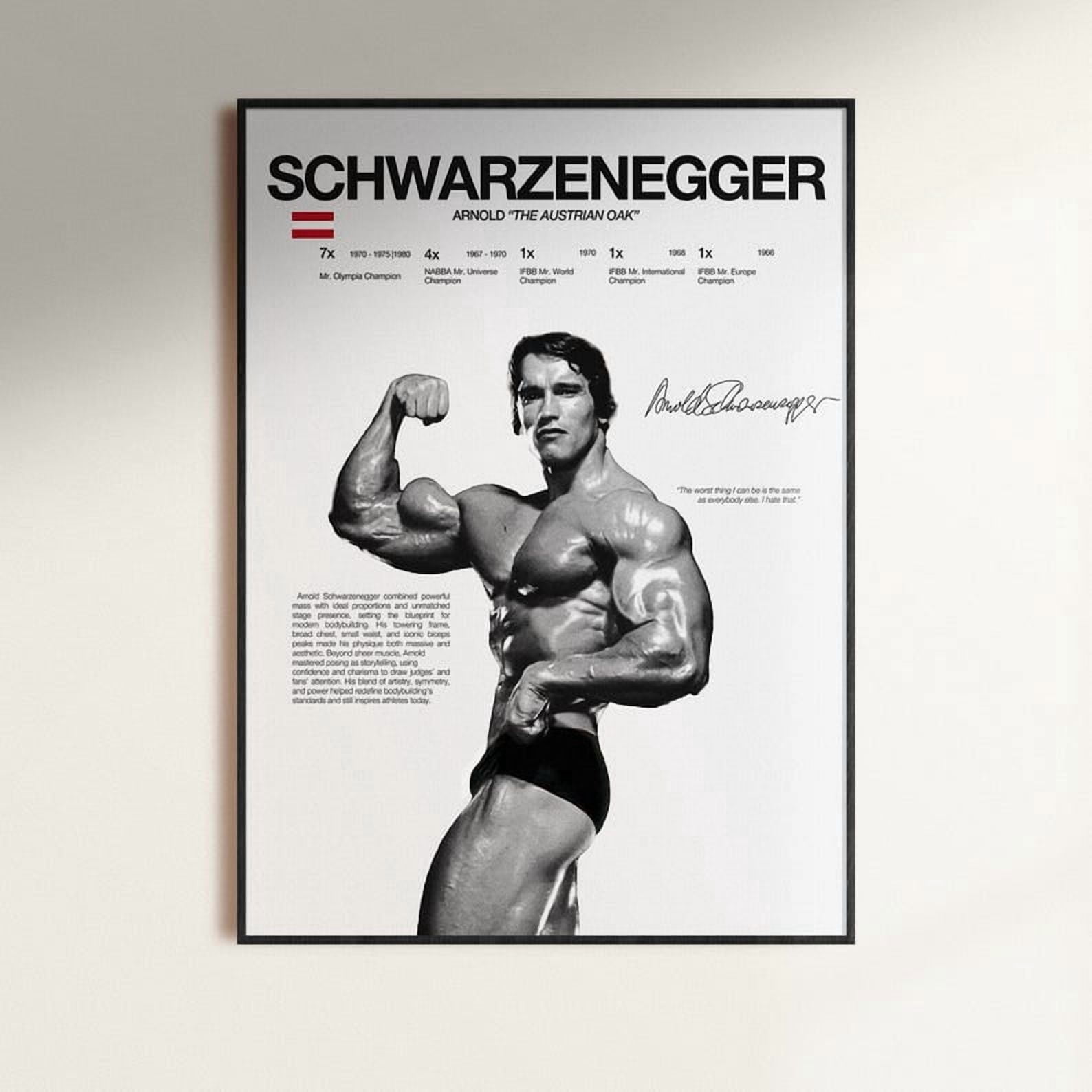 Arnold Schwarzenegger Classic Bodybuilding Poster Gym Motivation Wall ...