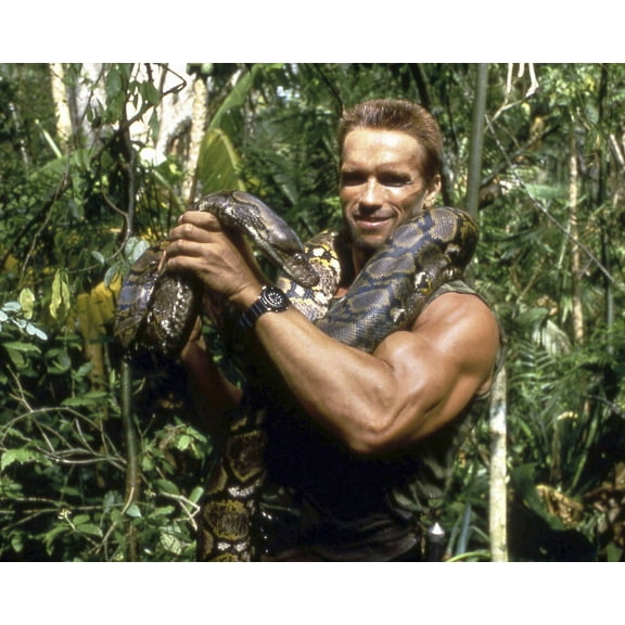 Arnold Schwarzenegger In Predator Holding Giant Python Snake In Jungle 24X36 Classic Hollywood Poster