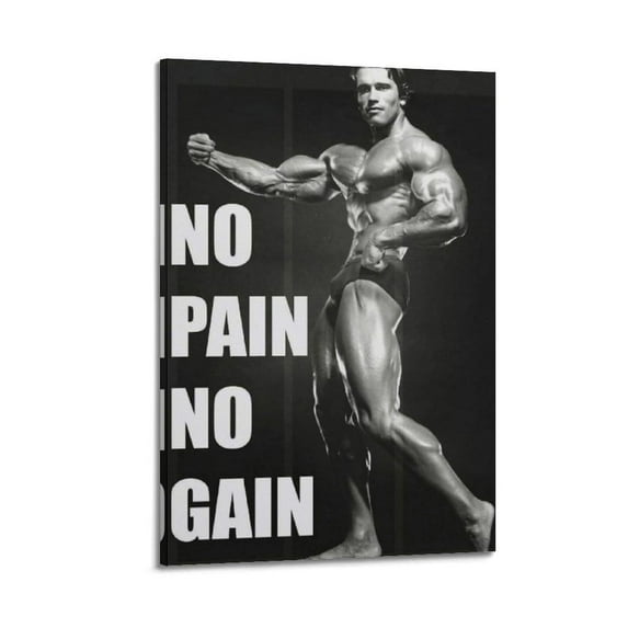 Arnold Schwarzenegger No Pain No Gain Poster Canvas Poster Room Aesthetic Decorative Wall Art Print Family Bedroom Decor