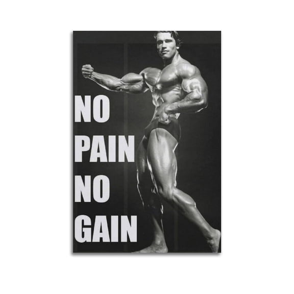 Arnold Schwarzenegger No Pain No Gain Poster Canvas Poster Room Aesthetic Decorative Wall Art Print Family Bedroom Decor