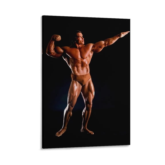 Arnold Schwarzenegger POSTER (2) Posters Art Print Wall Photo Paint Poster Hanging Picture Family Bedroom Decor Gift 12x18inch(30x45cm)
