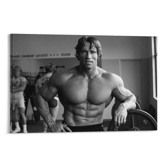 Arnold Schwarzenegger Poster Wall Art Poster Gifts Bedroom Prints Home Decor Hanging Picture Canvas Painting Posters 20x30inch(50x75cm)