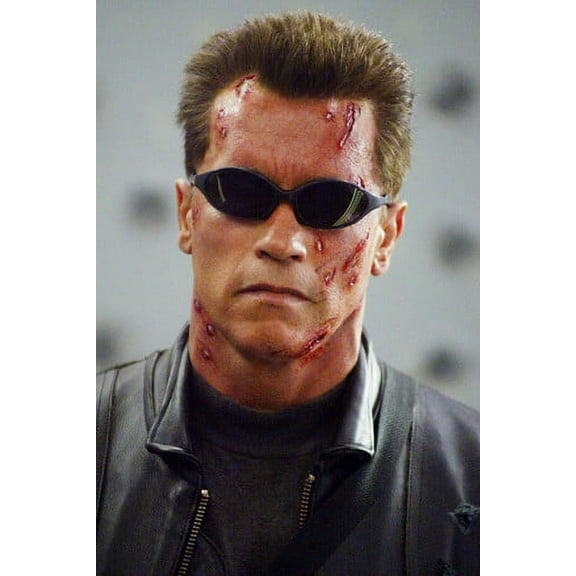 Arnold Schwarzenegger Sunglasses Terminator 3 24x36 Poster