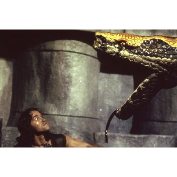 Arnold Schwarzenegger in Conan the Barbarian battles giant snake 24x36 Poster