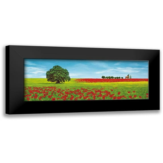 Arnolfi, Giorgio 14x8 Black Modern Framed Museum Art Print Titled - Dolci colline