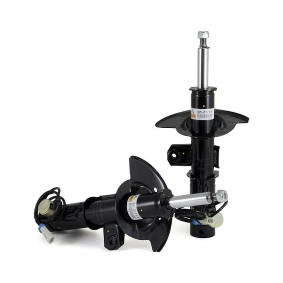 Arnott Front Shock Kit SK-2178