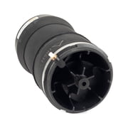 Arnott New Rear Air Spring A-3025