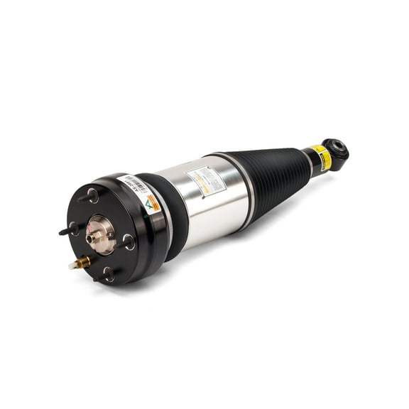 Arnott New Rear Air Strut AS-2891