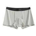 thumbnail image 1 of Arnsht Boxer Brief for Men Low-rise Vertical Fly Pull-on Style Smooth Flat Waistband Gray L, 1 of 4