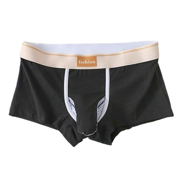 Arnsht Men's Cotton Underwear Trunk Soft Comfort Breathable Mesh Bulge Pouch Boxer Briefs Black L