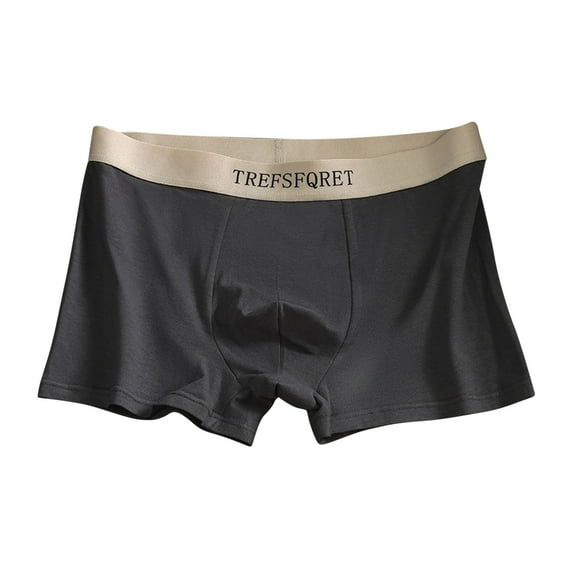 Arnsht Men's Plus Size Daily Underwear Boxer Briefs Cotton Stretch Moisture-Wicking Soft Comfortable Breathable Underwear Dark Gray XXXL