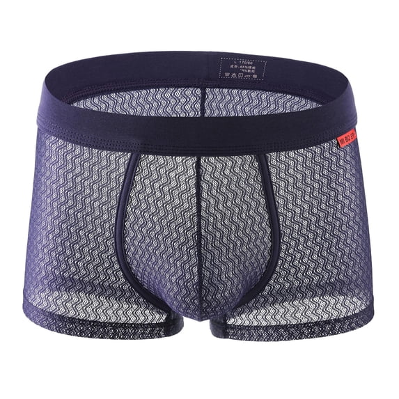 Arnsht Men's Underwear See Through Sexy Boxer Briefs Cool Mesh Breathable Underpants Blue L