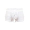 thumbnail image 1 of Arnsht Mens Boxer Briefs Breathable Mesh Underwear Hollowed Out Solid Color Vent Underpants White L, 1 of 2