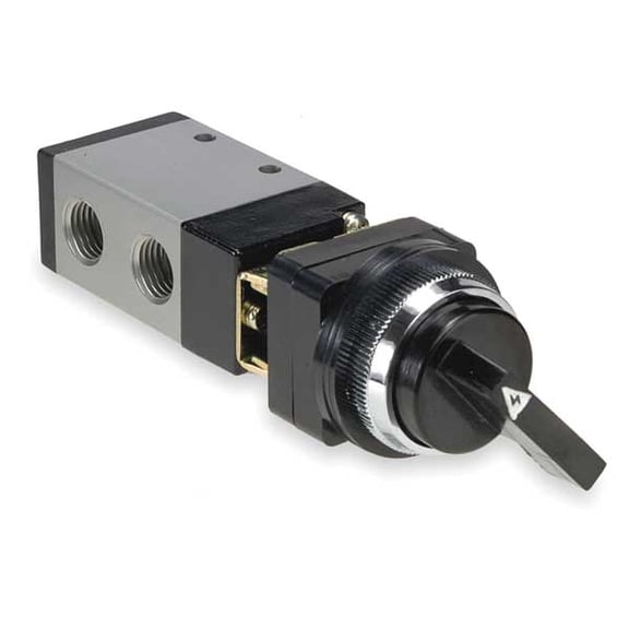 Aro Manual Air Control Valve, Knob, Black M252LS-11