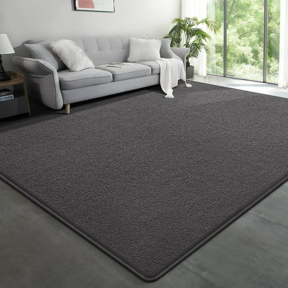 Arogan Soft Low Pile Rug Modern Area Rugs for Bedroom Living Room,Suitable for Boys Girls Teenagers and Adults with Super Soft Touch , Dark Gray , 4' x 6'