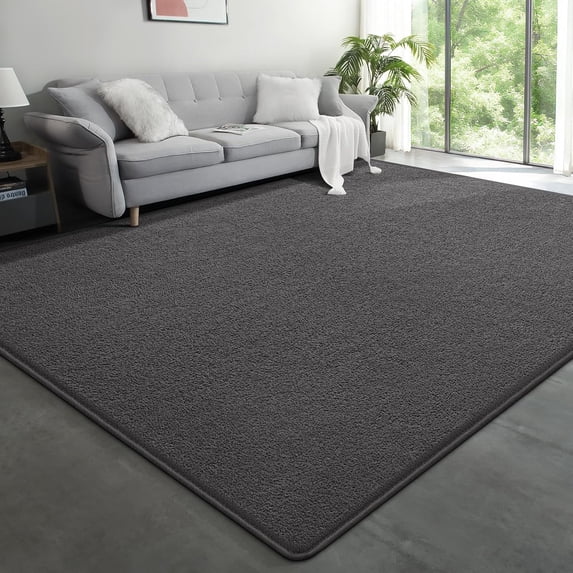 Arogan Soft Low Pile Rug Modern Area Rugs for Bedroom Living Room,Suitable for Boys Girls Teenagers and Adults with Super Soft Touch , Dark Gray , 5' x 7'