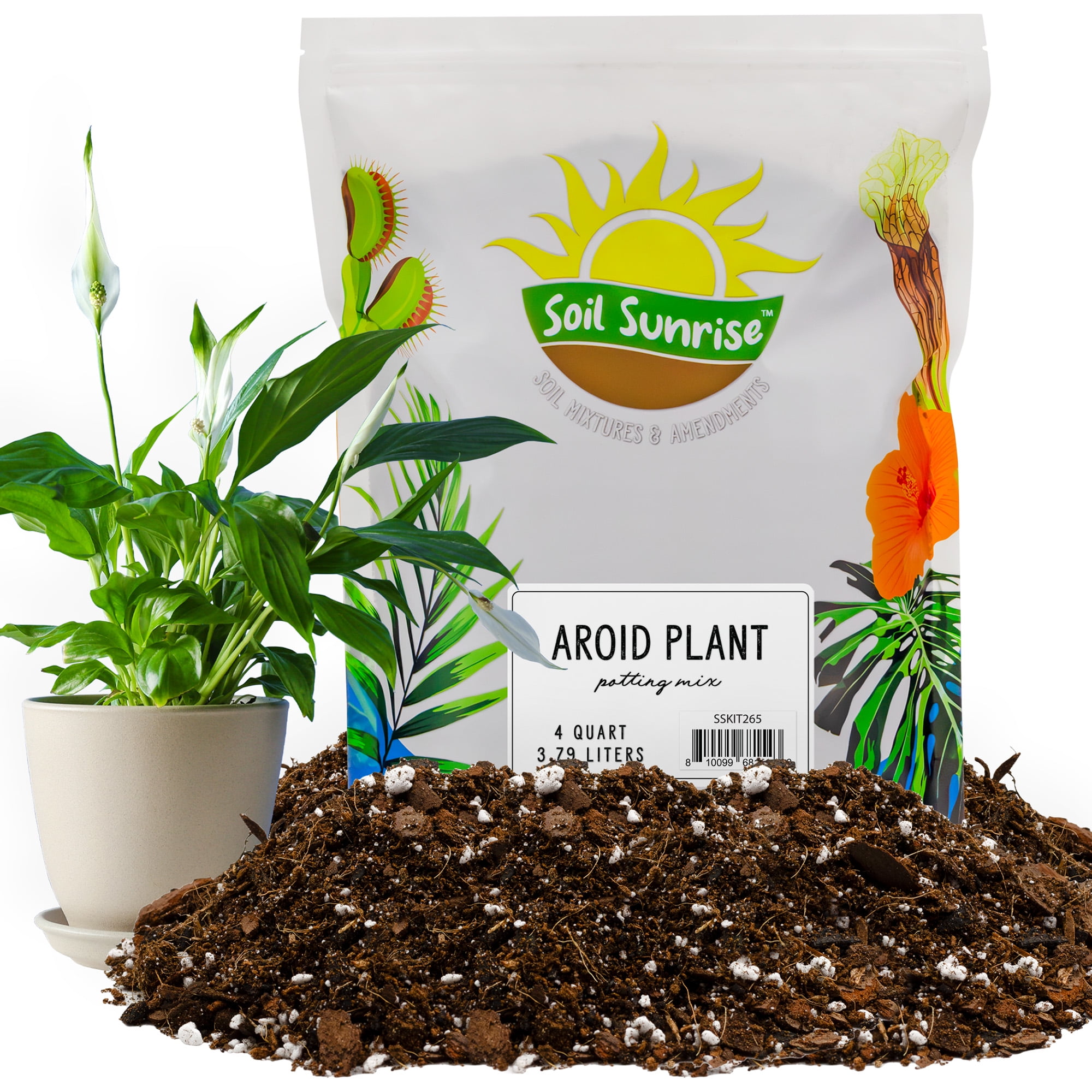 Aroid Plant Potting Soil Mix (4 Quarts), for Pothos Devil's Ivy