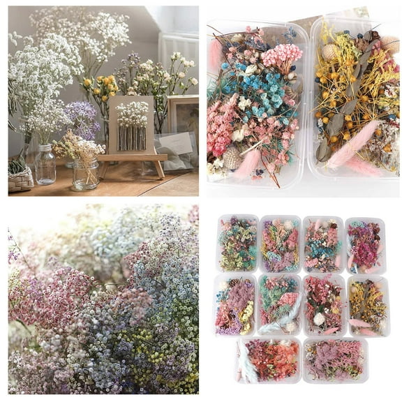 Aromatherapy Candles, Floating Flowers, Dried Flowers, Flower Materials, Scraps, Flower Heads, Diy Materials, 1Pc Dried Flowers Natural Floral Art Craft, a Box of Dried Flowers