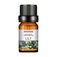 thumbnail image 1 of Aromatherapy Essential Oils, Premium Water Soluble Humidifier Car Diffuser Oil Set, 10 Natural Therapeutic Grade Scents in Amber Bottles Gift Ready, 1 of 1