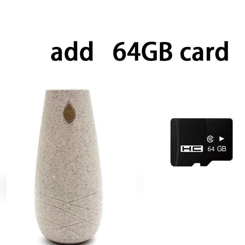 Aromatherapy Spray WiFi Camera Motion Detection Security P2P