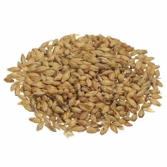 Aromatic Munich Malt 1 lbs - Rich Malty Specialty Grain for Brewing & Distilling Enhances Aroma, Body & Color - CRUSHED (Pre-Milled)