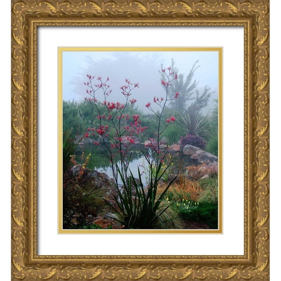 Aron, Lucy 20x22 Gold Ornate Wood Framed with Double Matting Museum Art Print Titled - Scarlet