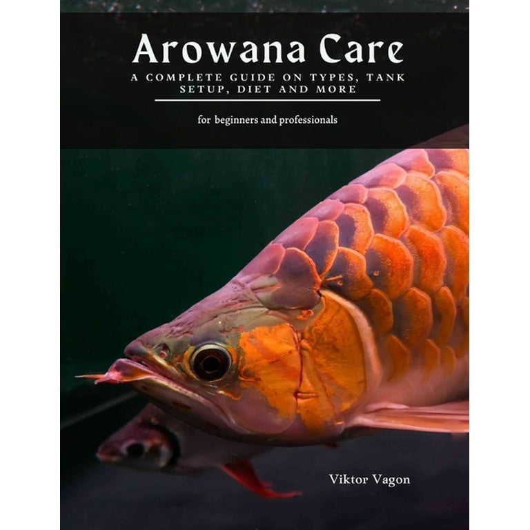 Asian arowana care deals