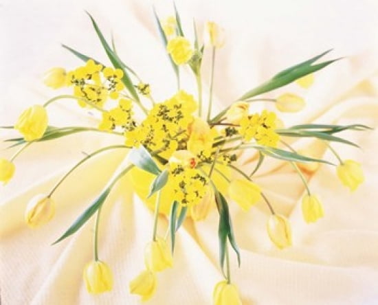 Arranged yellow flowers Canvas Art - Panoramic Images (36 x 30)