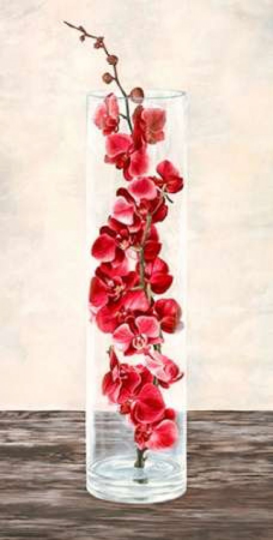 Arrangement of orchids Canvas Art - Shin Mills (24 x 48)