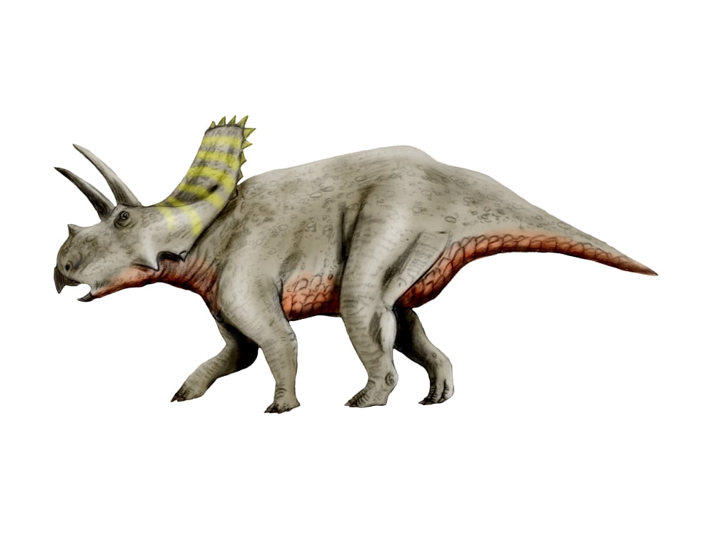 Arrhinoceratops dinosaur Canvas Art - Nobumichi TamuraStocktrek Images (33 x 25)