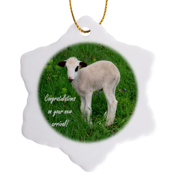 3drose, Arrival - Animal, Ewe, Love, Fun, Lovecute, Lamb, Lambs, 3 inch Snowflake Porcelain Ornament