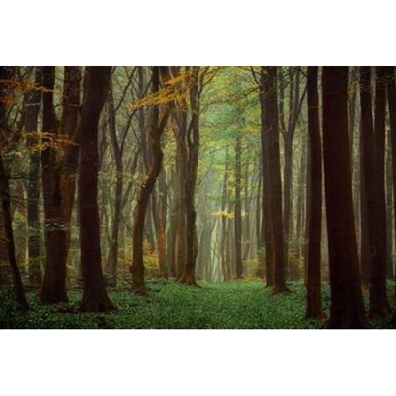 Arriving Nowhere Canvas Art - Lars Van de Goor (12 x 18)