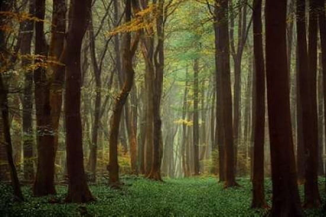 Arriving Nowhere Canvas Art - Lars Van de Goor (24 x 36)