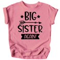 thumbnail image 1 of Arrow Big Sister Again Sibling Announcement Shirts for Baby and Toddler Girls Sibling Outfits Mauve Shirt, 1 of 2