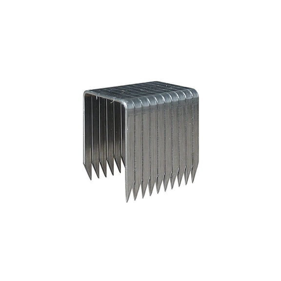 Arrow Fastener Staple T50 SS 3/8IN 1000PK